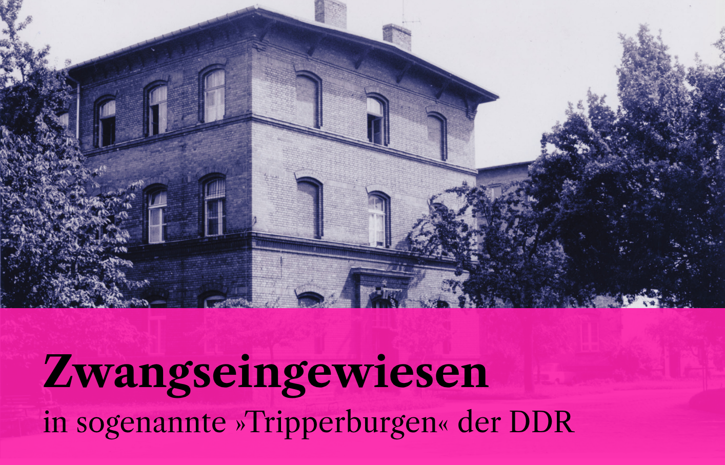 Aufruf Riebeckstraße 63 Bild